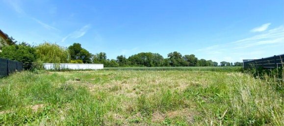 Terrain à Mitterndorf an der Fischa, Austria No. 203773 2