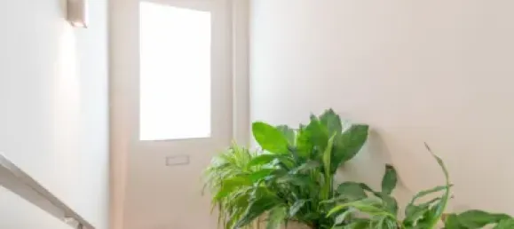 4 bedrooms House in Monachil, Spain No. 174566 37