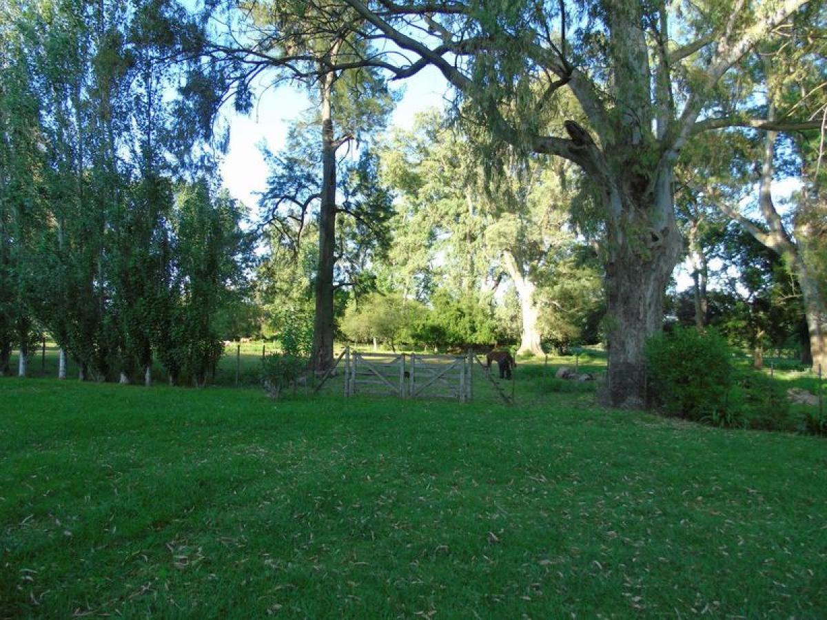 Grundstück in Campo Creado, Argentina 200m², Nr. 38370