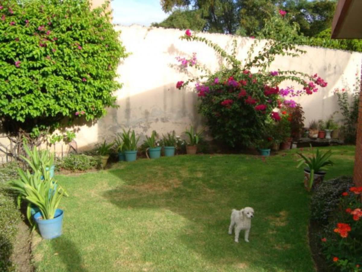 Дом с 3 спальнями в Гуанахуато, Мексика № 181486