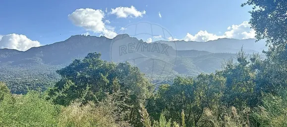  قطعة أرض في Tavaco, France 1751متر مربع رقم 152477 2