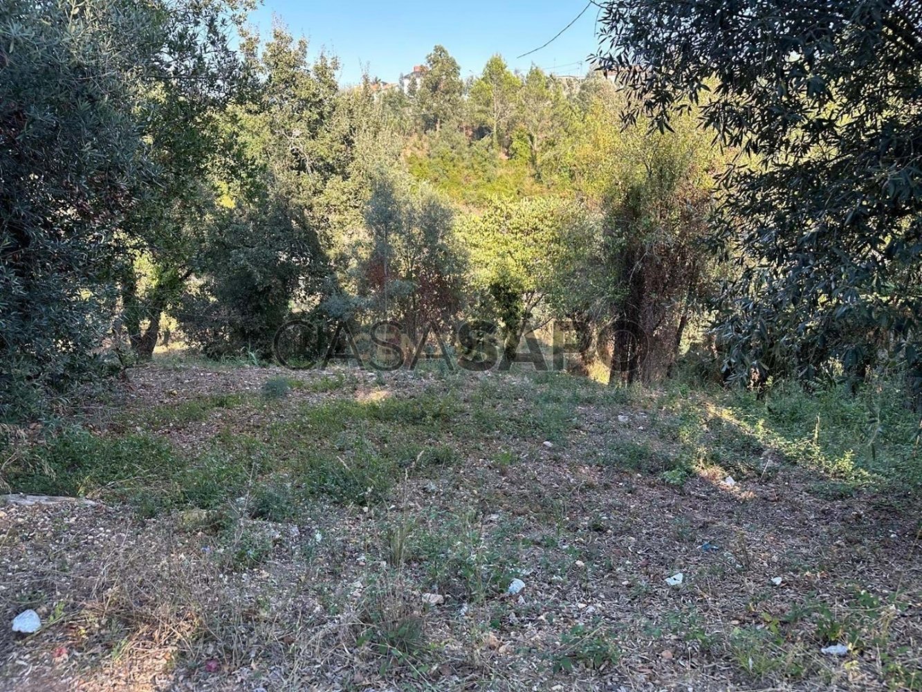 Grundstück in Coimbra, Portugal, Nr. 205335