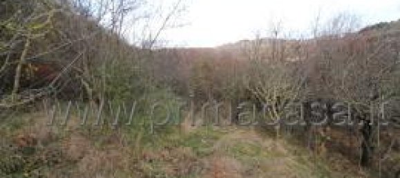 1 room Land in Fumane, Italy No. 64216 2