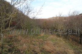 1 room Land in Fumane, Italy No. 64216