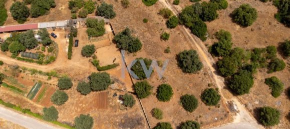 4115m² Land in Loule, Portugal No. 37669 13
