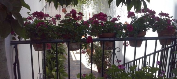 Дом с 4 спальнями в Марбелья, Испания № 154409 31