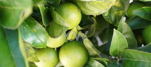 2 غرف نوم تاون هاوس في Cascais, Portugal رقم 126451 19