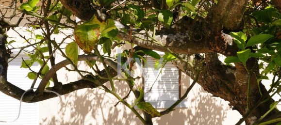 2 غرف نوم تاون هاوس في Cascais, Portugal رقم 126451 20