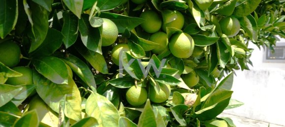 2 غرف نوم تاون هاوس في Cascais, Portugal رقم 126451 18