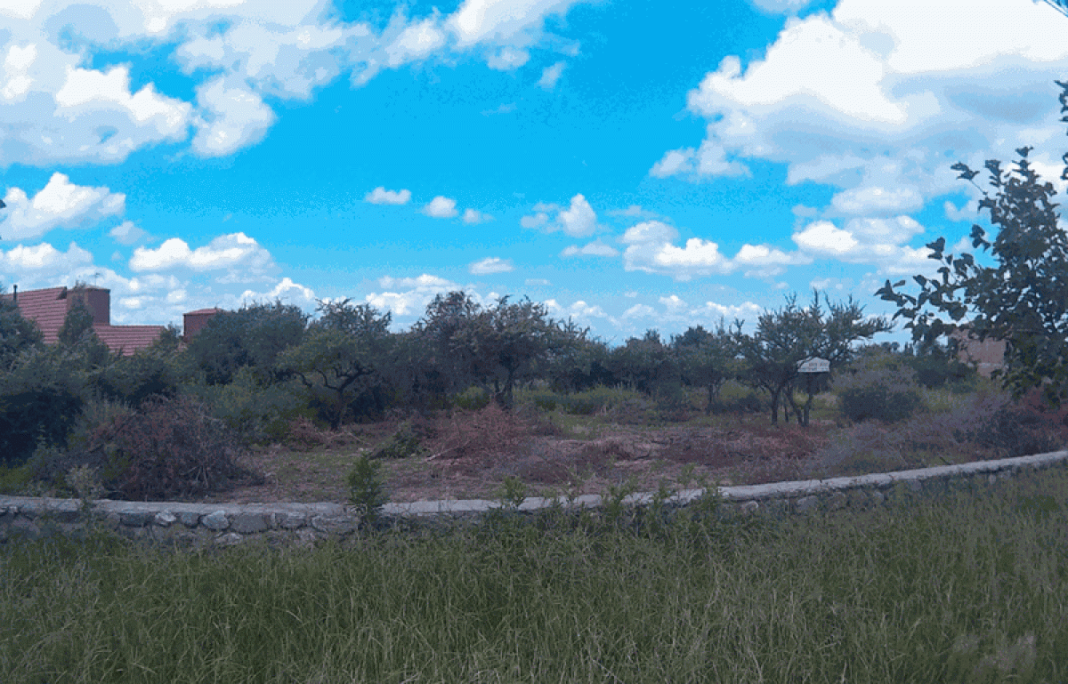 Terrain à San Luis, Argentina No. 46148