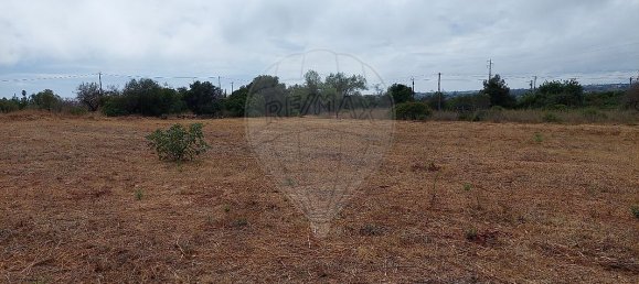 Земельный участок 4360м² в Келфеш, Португалия № 41793 4