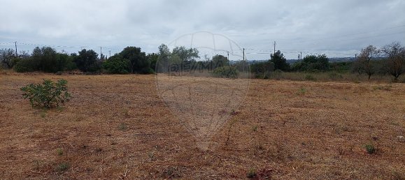 Земельный участок 4360м² в Келфеш, Португалия № 41793 6