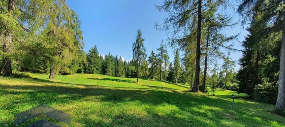 4 Schlafzimmer Haus in Trentino-Alto Adige, Italy, Nr. 359898 11