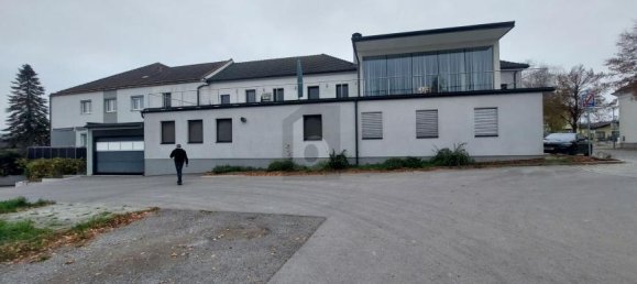 16-Zimmer Gewerbliche Immobilie in Atzenbrugg, Austria, Nr. 250979 3