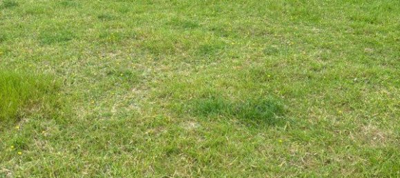 Terreno em Saint-Meen-le-Grand, France N.º 318782 3