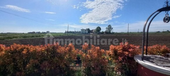 Дом с 3 спальнями в Медичина, Италия № 345922 25