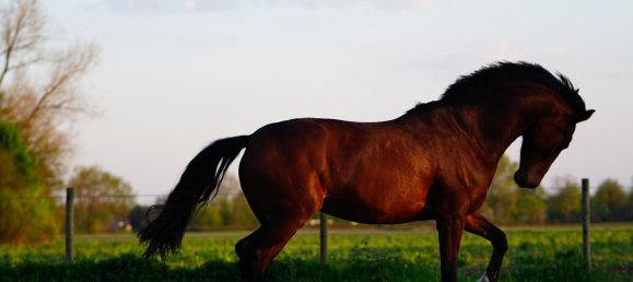 Villa 4+1 in Kusadasi, Turkey No. 11317 12