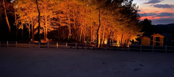 Villa 4+1 in Kusadasi, Turkey No. 11317 16