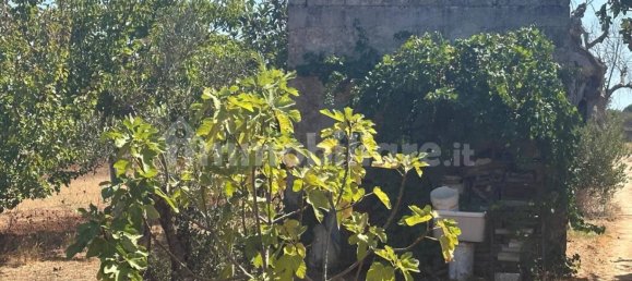 Terreno en Tiggiano, Italy 6200 m² No. 357506 16