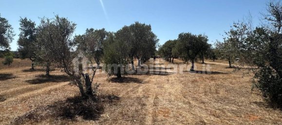 Terreno en Tiggiano, Italy 6200 m² No. 357506 12