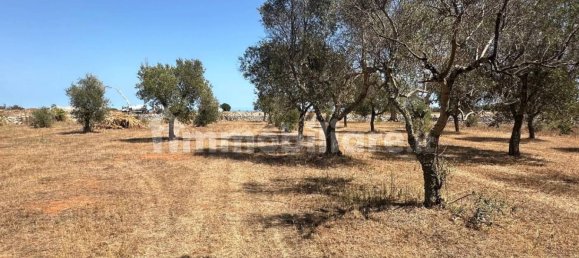 Terreno en Tiggiano, Italy 6200 m² No. 357506 13