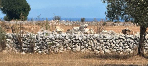 Terreno en Tiggiano, Italy 6200 m² No. 357506 14