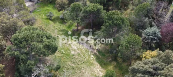  قطعة أرض في San Sebastian de los Reyes, Spain 3424متر مربع رقم 87112 5