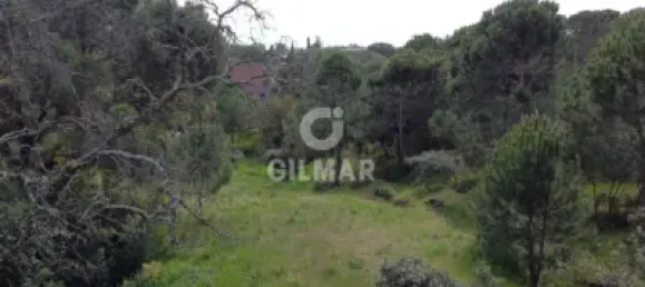  قطعة أرض في San Sebastian de los Reyes, Spain 3424متر مربع رقم 87112 2