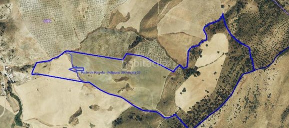 Terrain à Cadiz, Spain 692m² No. 188805 16