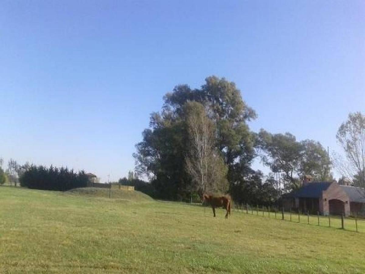 Casa de 3 dormitorios en Pilar, Argentina No. 100677