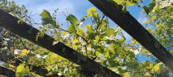 Terrain à Stuttgart, Germany No. 219143 3