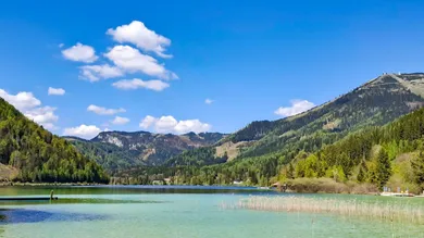 Bungalow de 5 habitaciónes en Mariazell, Austria No. 158651