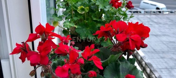 Apartamento T3 em Lisbon, Portugal N.º 9729 13