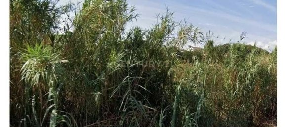  قطعة أرض في Caldes de Montbui, Spain 14688متر مربع رقم 157182 8