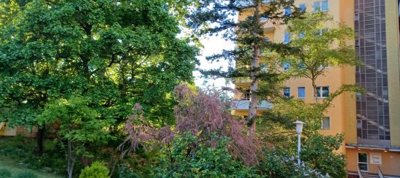 1 غرف نوم شقة في Wilmersdorf, Germany رقم 265421 9