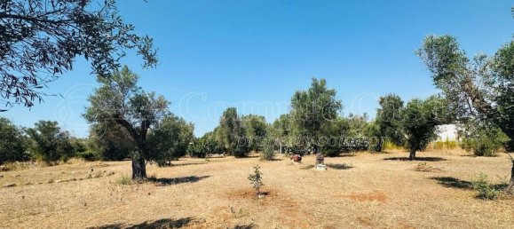 Casa de 2 habitaciónes en Nardò, Italy No. 293071 41