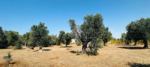 Casa de 2 habitaciónes en Nardò, Italy No. 293071 14