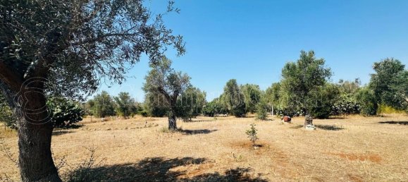 Casa de 2 habitaciónes en Nardò, Italy No. 293071 24