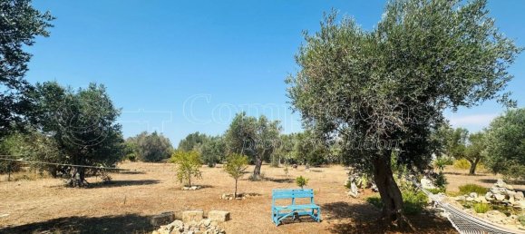 Casa de 2 habitaciónes en Nardò, Italy No. 293071 42