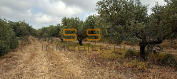 1 chambre Maison à Mont-roig del Camp, Spain No. 148451 15