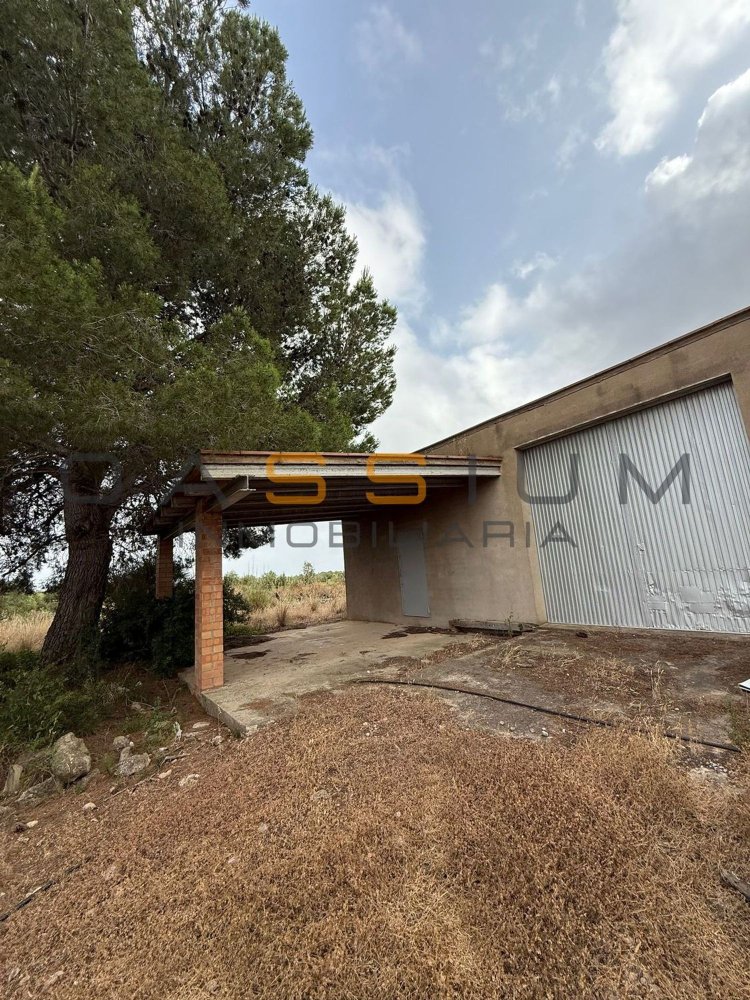 1 chambre Maison à Mont-roig del Camp, Spain No. 148451