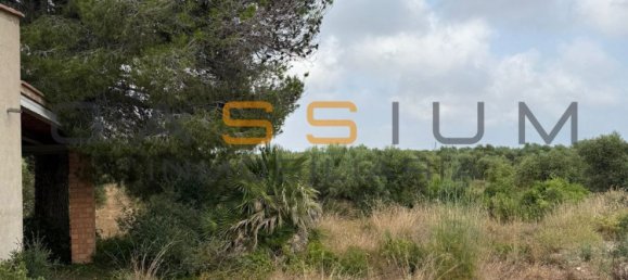 1 chambre Maison à Mont-roig del Camp, Spain No. 148451 5