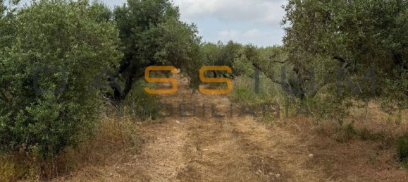 1 chambre Maison à Mont-roig del Camp, Spain No. 148451 10