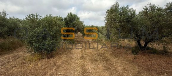 1 chambre Maison à Mont-roig del Camp, Spain No. 148451 11