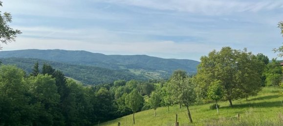  Land in Neustift-Innermanzing, Austria No. 104250 3