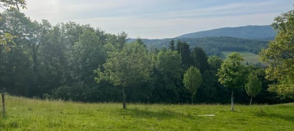  Land in Neustift-Innermanzing, Austria No. 104250 5