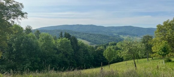  Land in Neustift-Innermanzing, Austria No. 104250 6