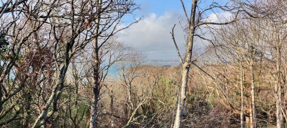 3 Schlafzimmer Villa in Plougastel-Daoulas, France, Nr. 202748 10