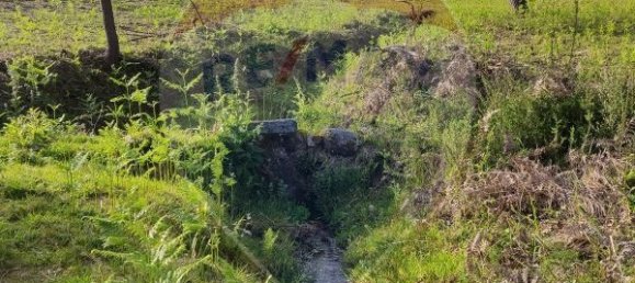 2837m² Land in Arcos de Valdevez, Portugal No. 57101 4