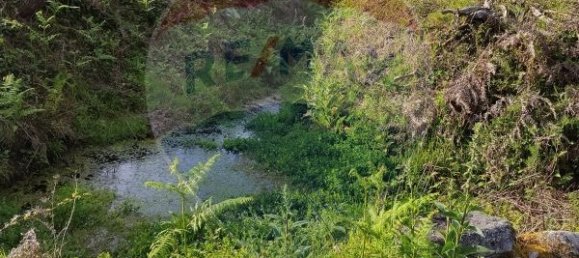 2837m² Land in Arcos de Valdevez, Portugal No. 57101 5